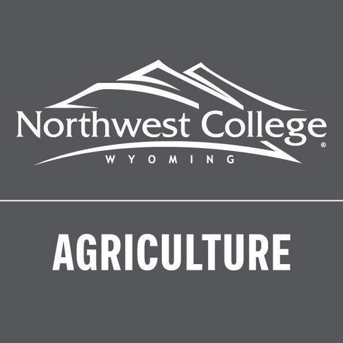 Ron and Viola Rochlitz Memorial Agriculture Scholarship